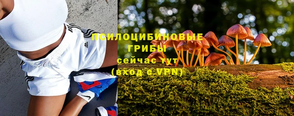 ALPHA-PVP Надым