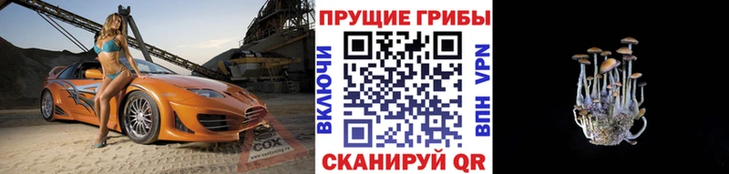 Галлюциногенные грибы Cubensis  купить   ОМГ ОМГ маркетплейс  Югорск 